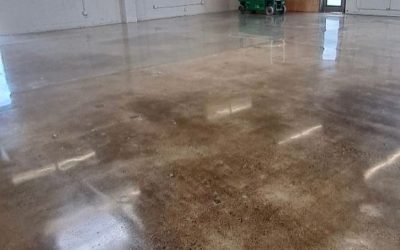 Auto Body Shop- 800 Grit - Concrete Floor Polishing (3)