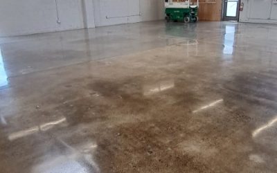 Auto Body Shop- 800 Grit - Concrete Floor Polishing (4)