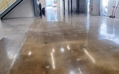 Auto Body Shop- 800 Grit - Concrete Floor Polishing (5)