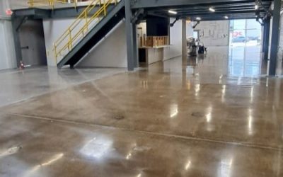 Auto Body Shop- 800 Grit - Concrete Floor Polishing (6)