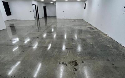 Bussiness office - Grind and Seal - Sealed Concrete (3)