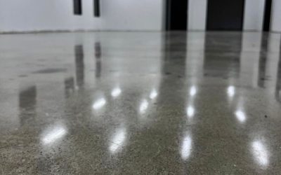 Bussiness office - Grind and Seal - Sealed Concrete
